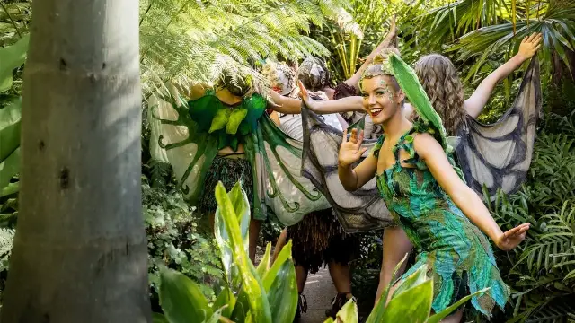Tinkerbell and the Dream Fairies Sydney — performer image