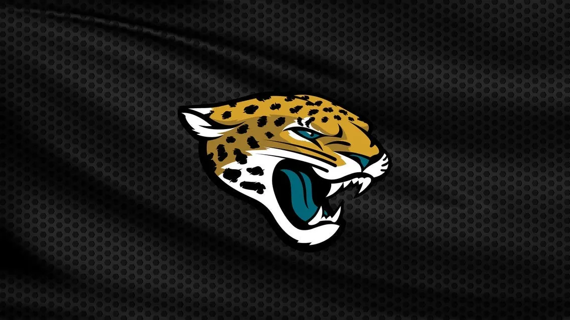 Jacksonville Jaguars vs. New England Patriots