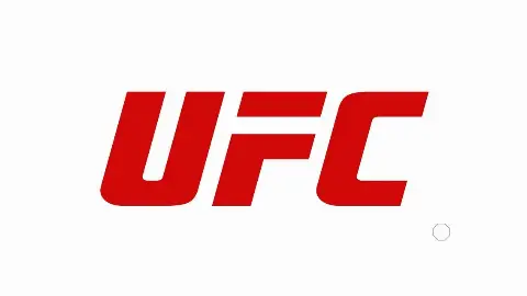 UFC 332