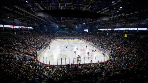 Belfast Giants V Dundee Stars